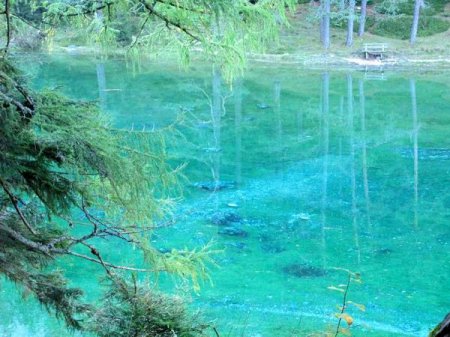 Gruner See - сезонное озеро в Австрии [10 фото]