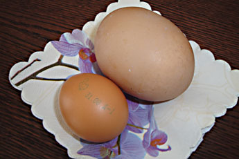 Курица снесла яйцо весом 173 грамма